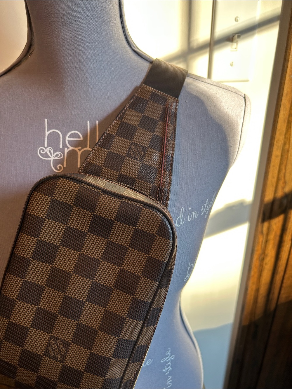 Louis Vuitton Damier Ebene Brown Belt Bag - Picture 3 of 12